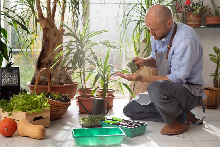 Negócio barato: ideias que podem dar lucro ainda em 2025. Estudar para Mudar